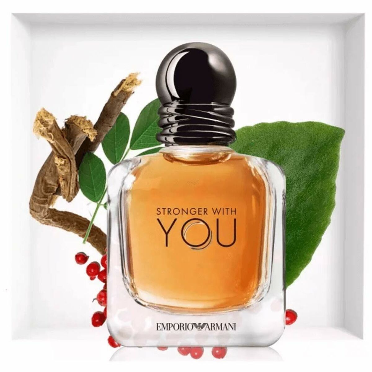 Men's Perfume Armani ARM00305 EDT (Floral) 30ml